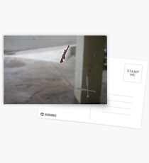 Speck Postcards