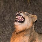 «Caninos de la noche» de Richard Shakenovsky