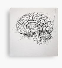 Brain Leinwanddruck
