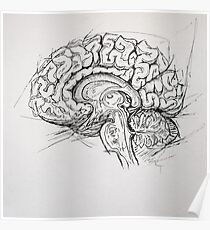 Brain Poster