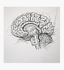 Brain Photographic Print