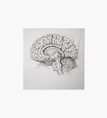 Brain Art Board Print