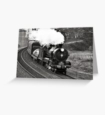 nanny Greeting Card