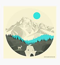 MT RAINIER NATIONAL PARK Photographic Print