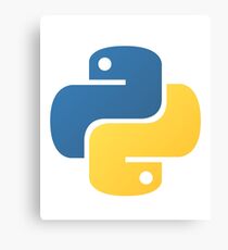Python Programming Canvas Print