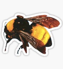 Tyler Der Blumenjunge des Schöpfers Sticker