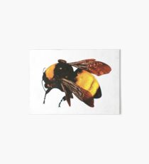 Lámina de exposición El niño de flores de Tyler The Creator