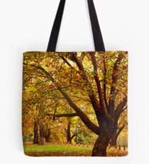 Bega during autumn Tote Bag