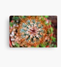 Nature Canvas Print