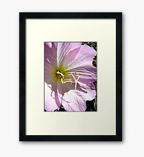 stamens Framed Print