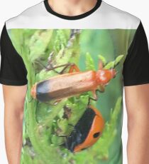 Soldier beetle Vs Ladybird Who Won? Graphic T-Shirt