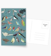 Oiseaux Alphabnitiques - A bis Z Vögel - Papercuts Postkarten