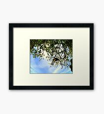 MONKEY CATCH.... Framed Print