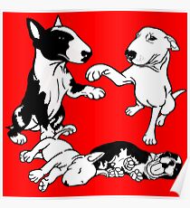 English Bull Terrier Family Poster