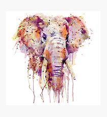 Elephant Photographic Print