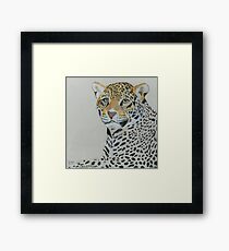 Lonley Leopard Framed Print