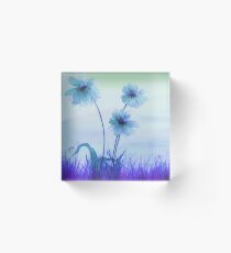 Translucent Blue Daisies Acrylic Block