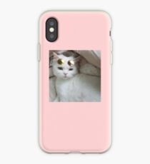 Sonnenbrille Katze iPhone-Hülle & Cover