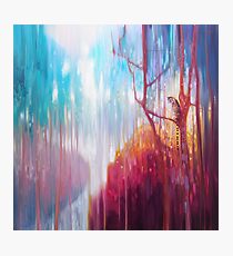 Light of the Jungle - a semi abstract forest landscape with tiger Photographic Print