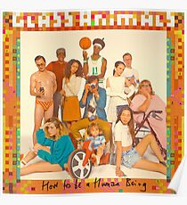 Glass Animals - album cover Poster