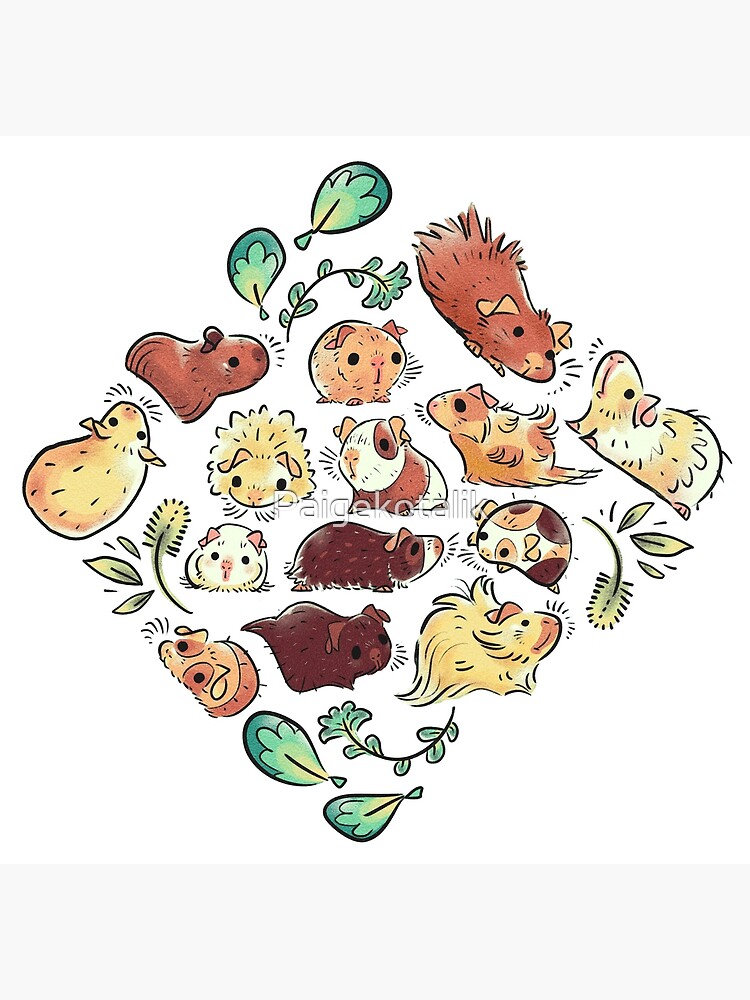 Guinea Pig Diamond by Paigekotalik