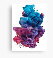 DS2 Canvas Print