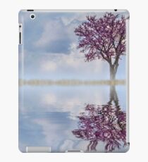 Mirror, Mirror iPad Case/Skin