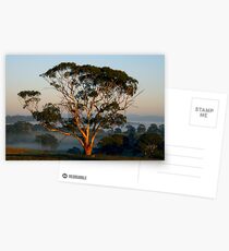 A Golden Moment - Nairne Postcards