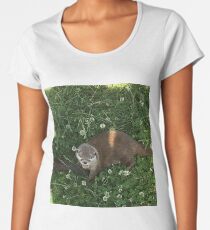 Looking up to you Women's Premium T-Shirt