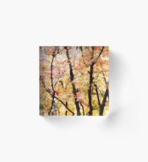 Autumnal Impressions Acrylic Block