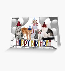 Birthday Cats - Card Greeting Card