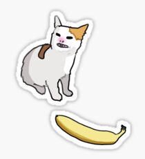 CAT NO BANANA Sticker