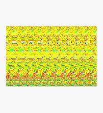 3D Stereogram - Duck Photographic Print