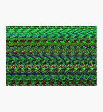 3D Stereogram - Dog Photographic Print