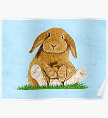 Bunny Poster