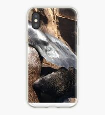 Living Coast (Lifes Miracles) iPhone-Hülle & Cover