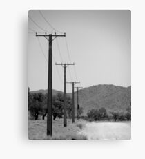 Bush Telegraph! Canvas Print
