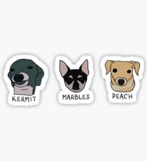 Jenna's Dogs + Names (Sticker Pack) Sticker