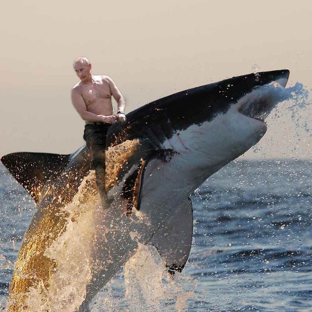 Путин верхом на акуле