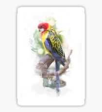 Eastern Rosella Sticker
