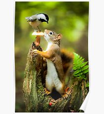 Chipmunk Poster