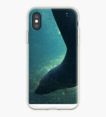 Living in the Shawdos Fur Seal Living Coast iPhone-Hülle & Cover