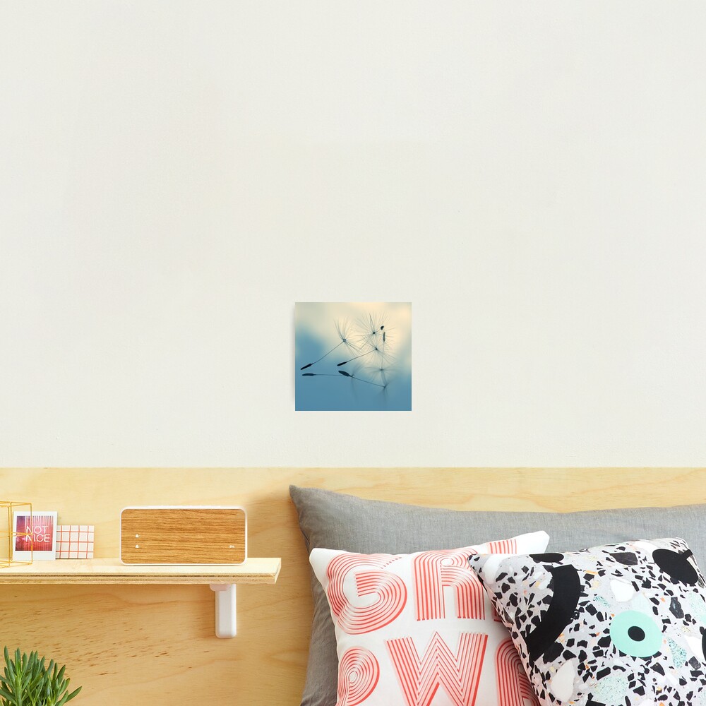 cloud nine Photographic Print
