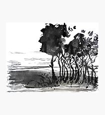 landscape 6 Photographic Print