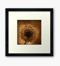 yesterday's wishes Framed Print