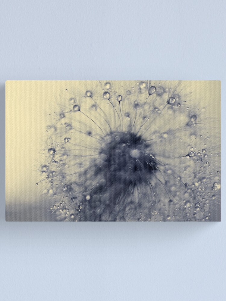 Alternate view of make a wish Canvas Print