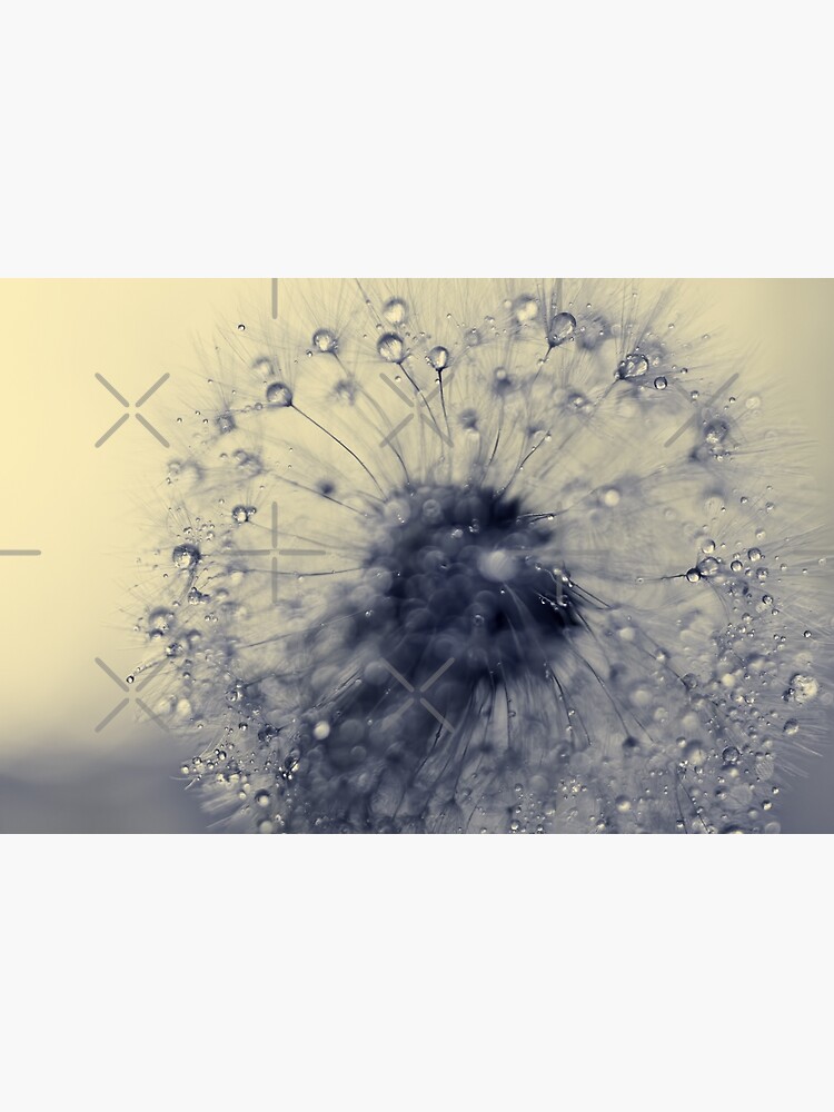 make a wish by Ingz