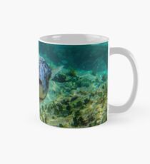 Inquisitive Puffer Fish (Tetraodontidae) Mug