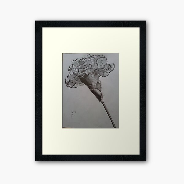 Carnation Framed Art Print