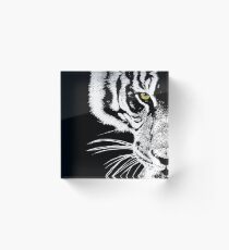 The Look of the Tiger Acrylic Block